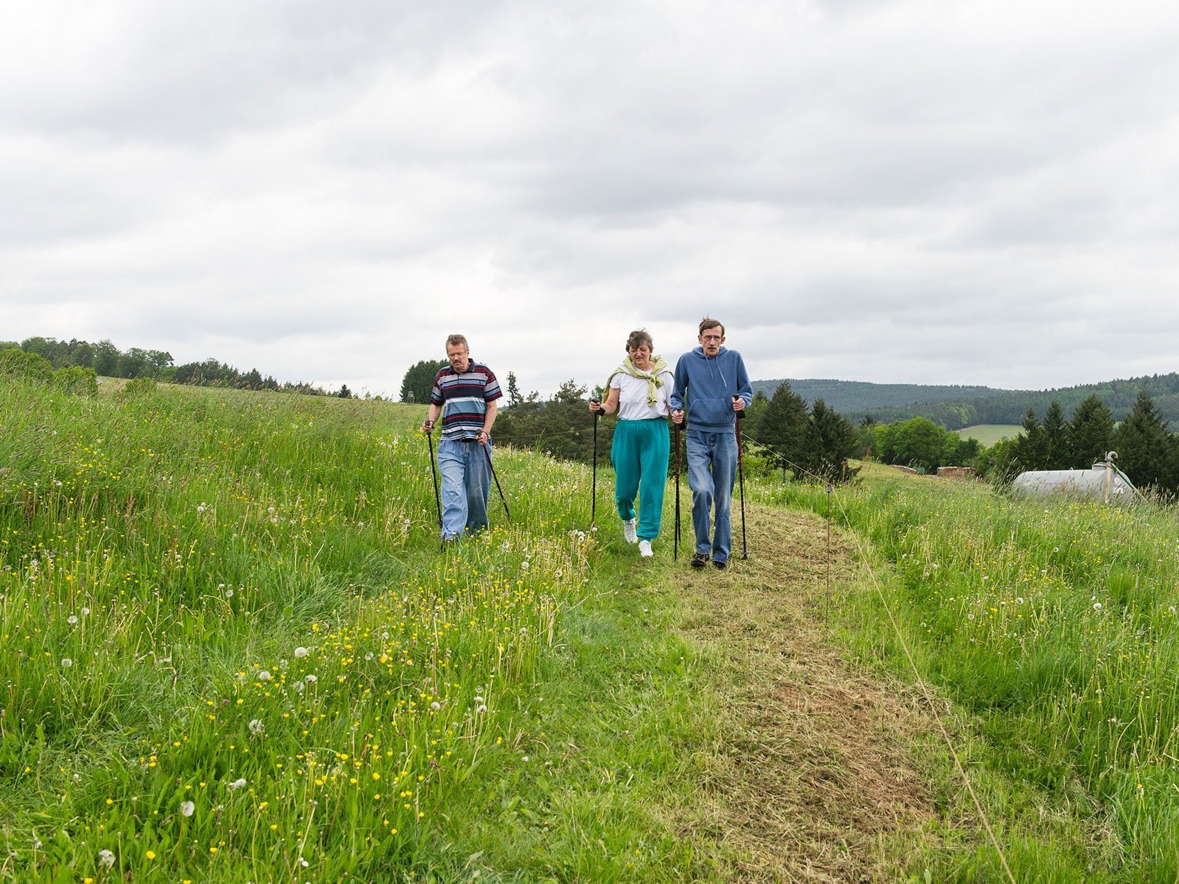 eine Frau und zwei Männer beim Nordic-Walking auf einer Wiese