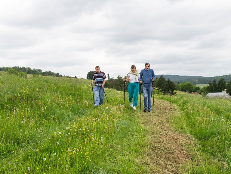 eine Frau und zwei Männer beim Nordic-Walking auf einer Wiese